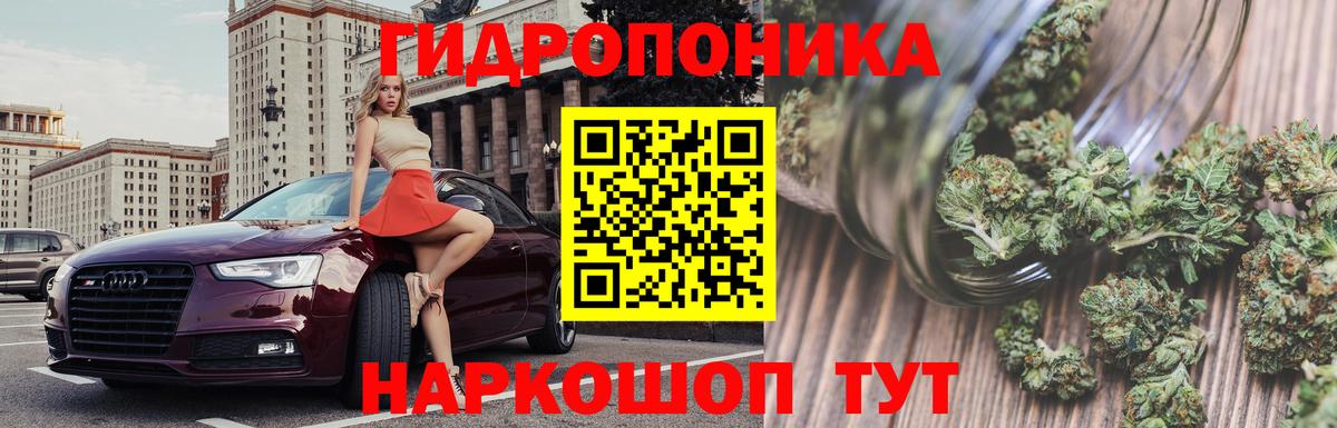 Канабис сатива Медногорск